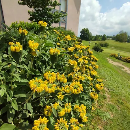 3 Etoiles, 2 , Cuisine Amenagee, Terrasse, Face A La Chaine Des Pyrenees