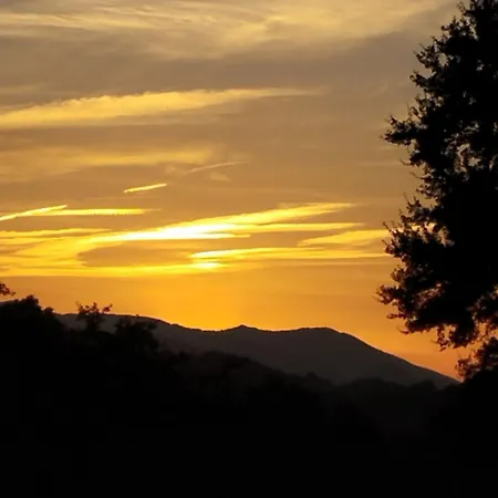 3 Etoiles, 2 , Cuisine Amenagee, Terrasse, Face A La Chaine Des Pyrenees 公寓