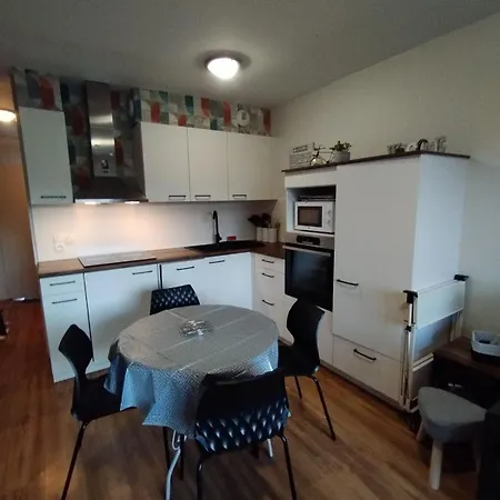 Appartement 3 Etoiles, 2 Chambres , Cuisine Amenagee, Terrasse, Face A La Chaine Des Pyrenees Apartment