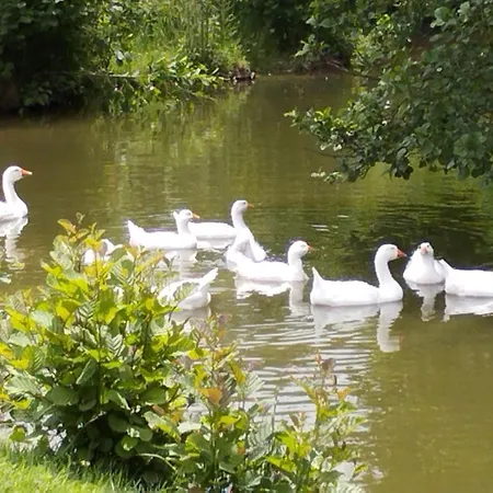 3 Etoiles, 2 , Cuisine Amenagee, Terrasse, Face A La Chaine Des Pyrenees *