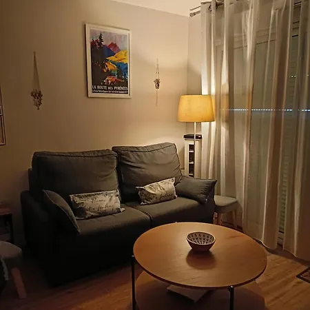 Appartement 3 Etoiles, 2 Chambres , Cuisine Amenagee, Terrasse, Face A La Chaine Des Pyrenees *