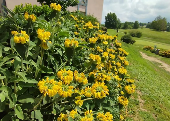 3 étoiles, 2 , Cuisine Aménagée, Terrasse, Face à La Chaîne Des Pyrénées
