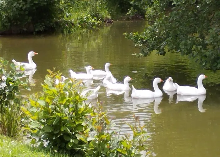 3 étoiles, 2 , Cuisine Aménagée, Terrasse, Face à La Chaîne Des Pyrénées *