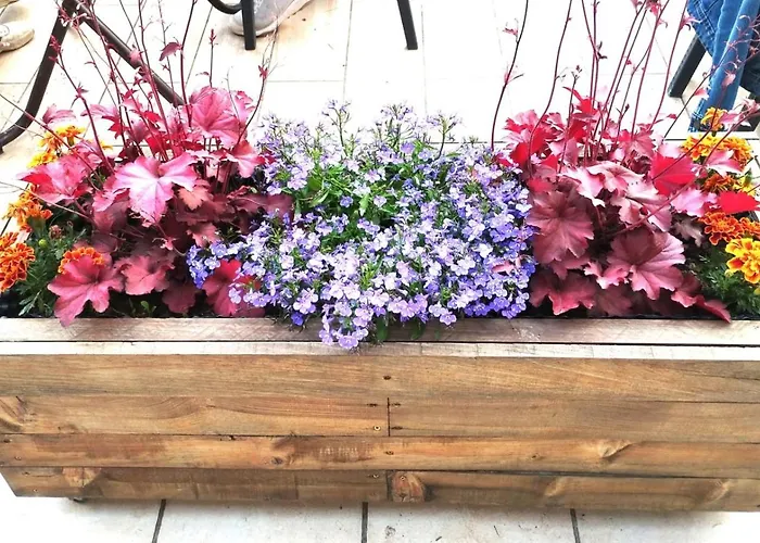 3 Etoiles, 2 , Cuisine Amenagee, Terrasse, Face A La Chaine Des Pyrenees *